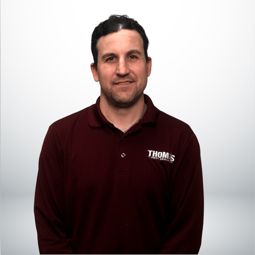 David Albarelli David Albarelli