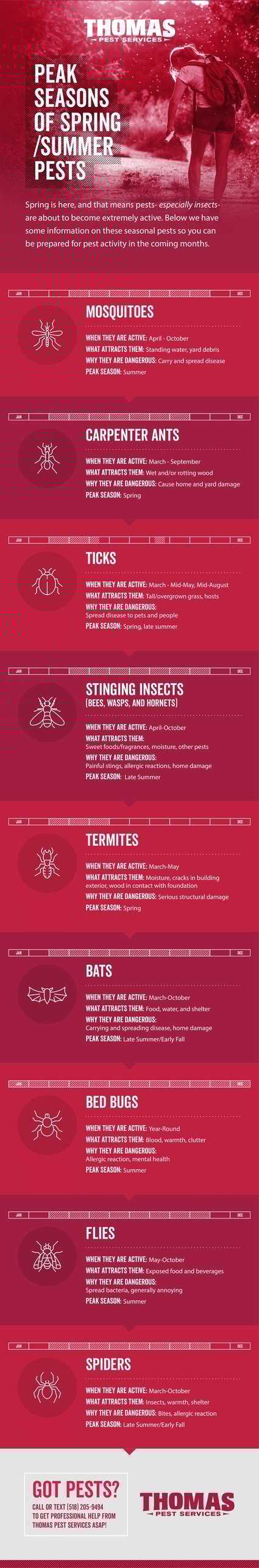 A Guide to Spring and Summer Pests - Infographic