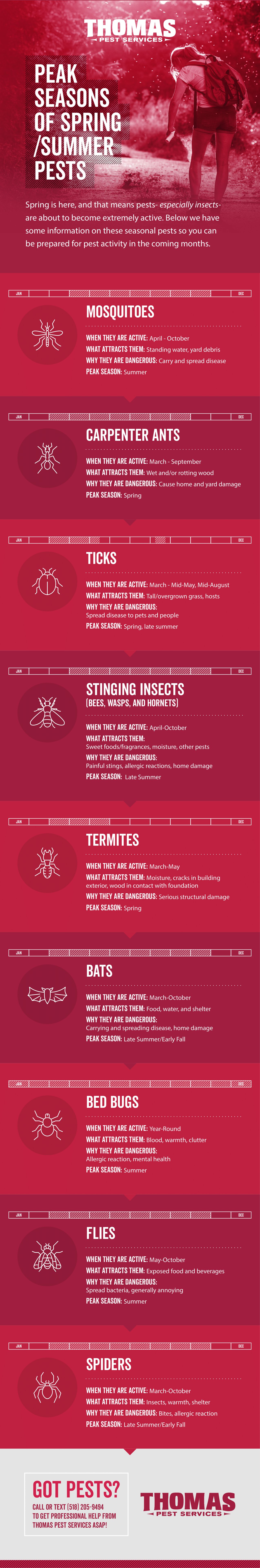 A Guide to Spring and Summer Pests - Infographic