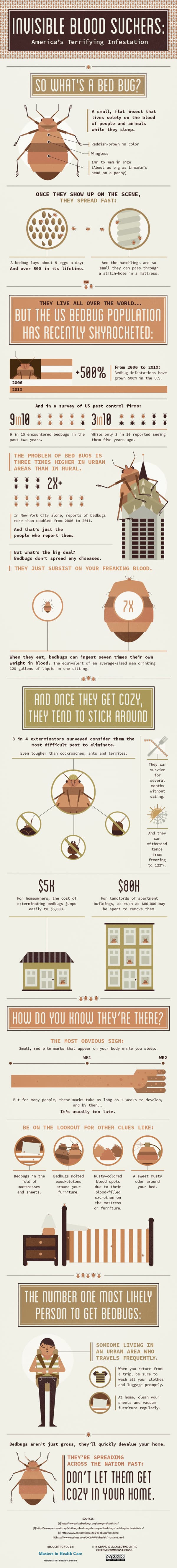 Interesting Bed Bug Facts bed bug info