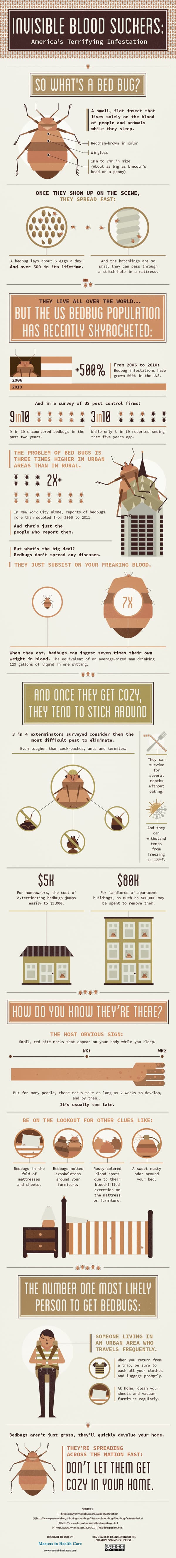 bed bug info