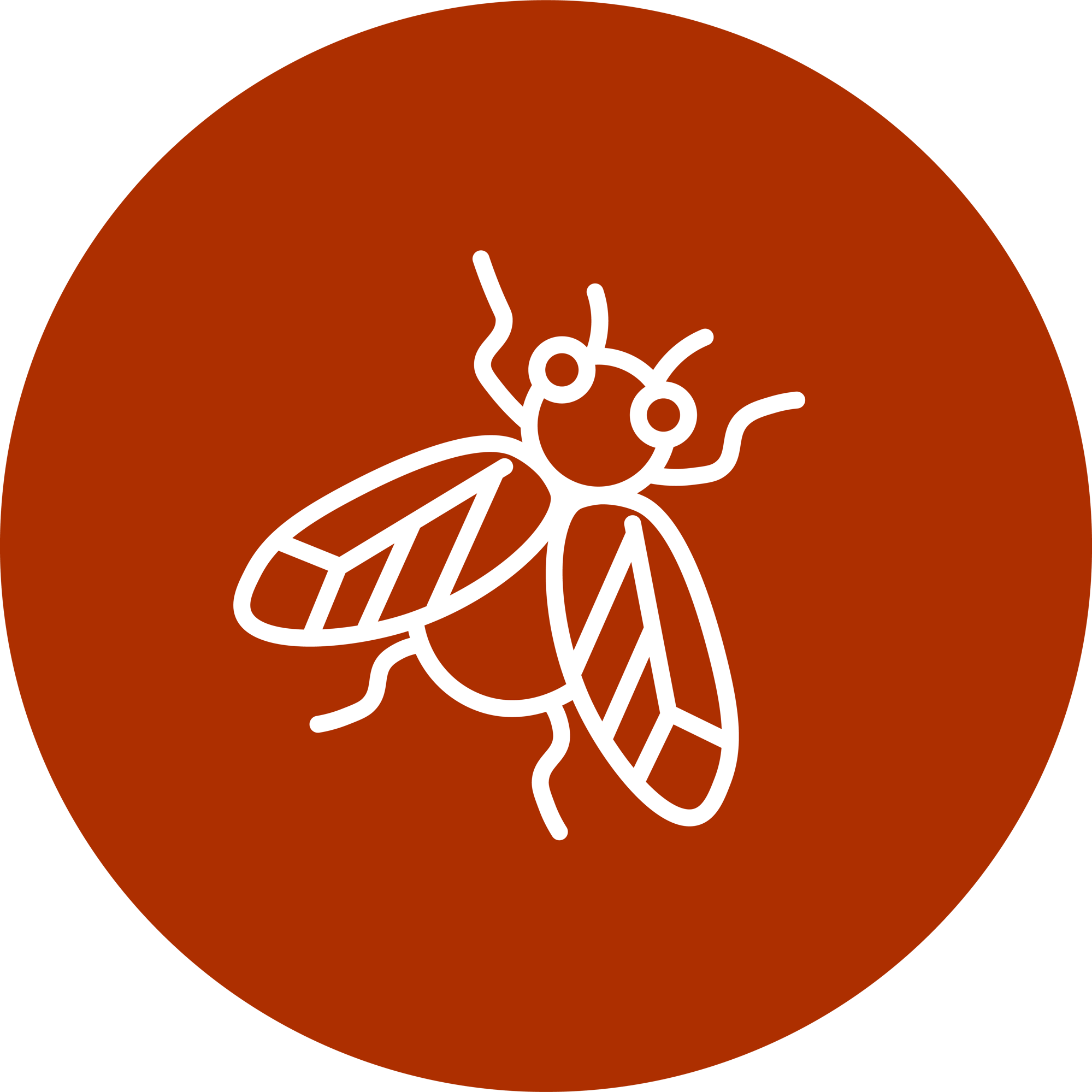 PestIcon-ClusterFlies_Bugs