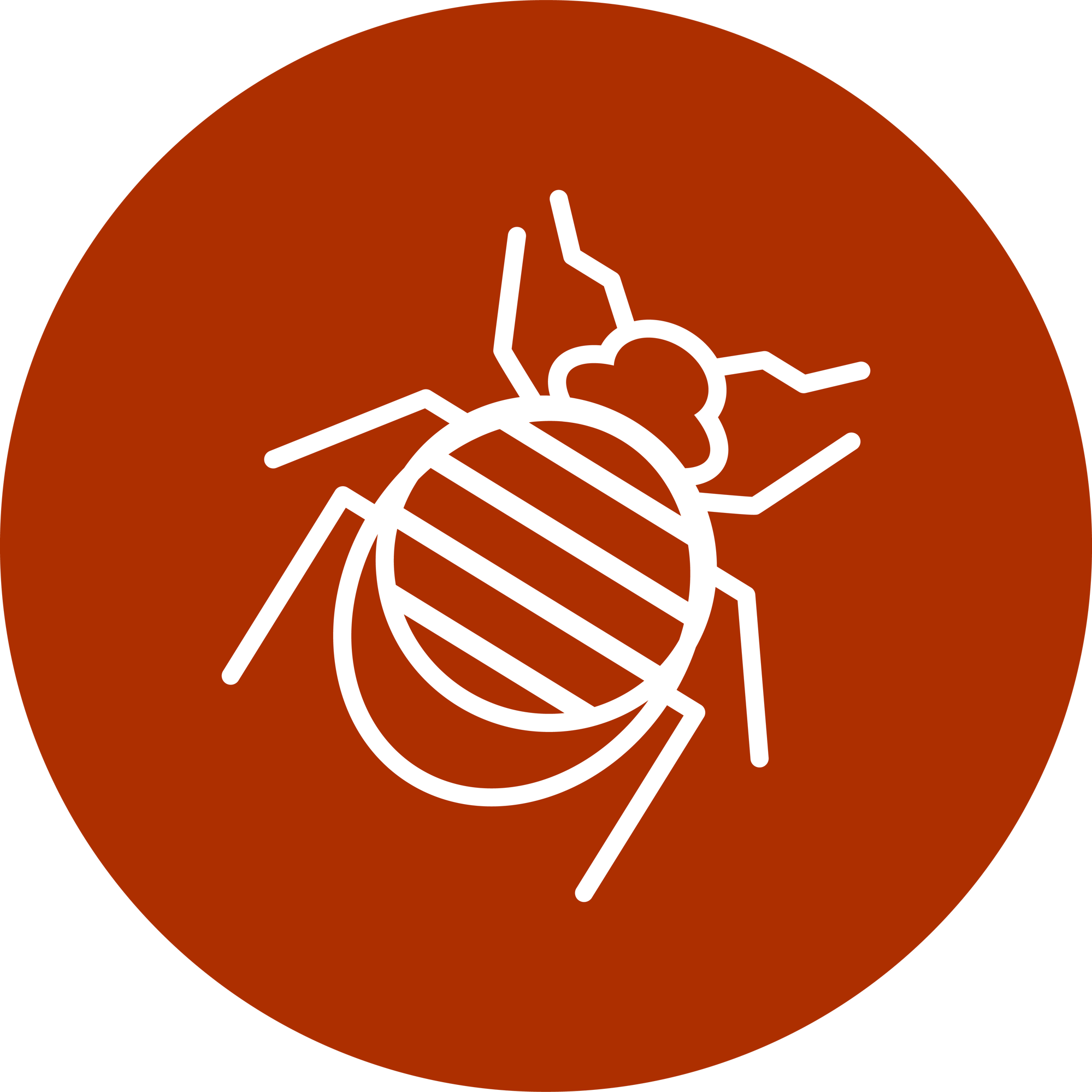 PestIcon-StoredProductPests