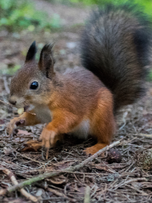 Screenshot 2025-09-23 142944 Screenshot 2025-09-23 142944