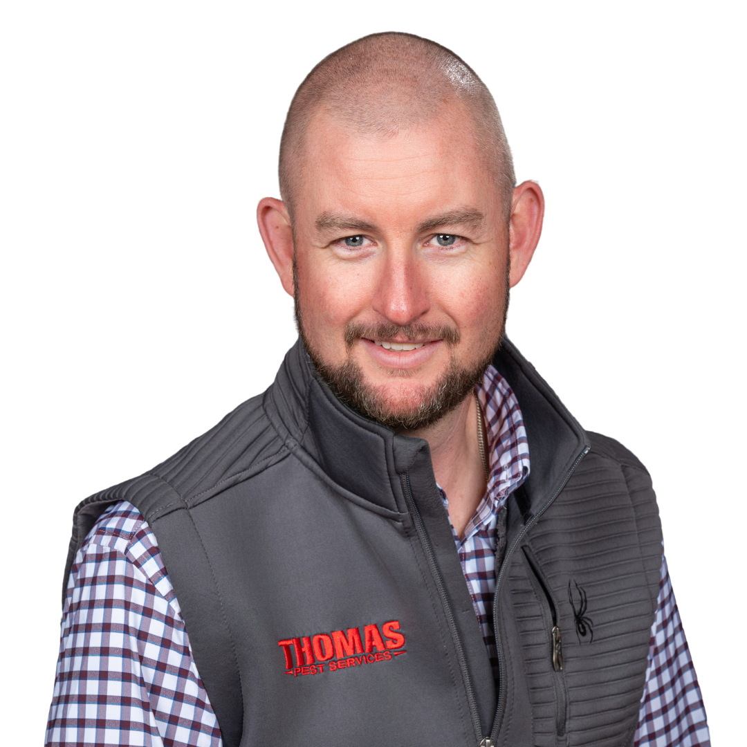 Your paragraph text (70)