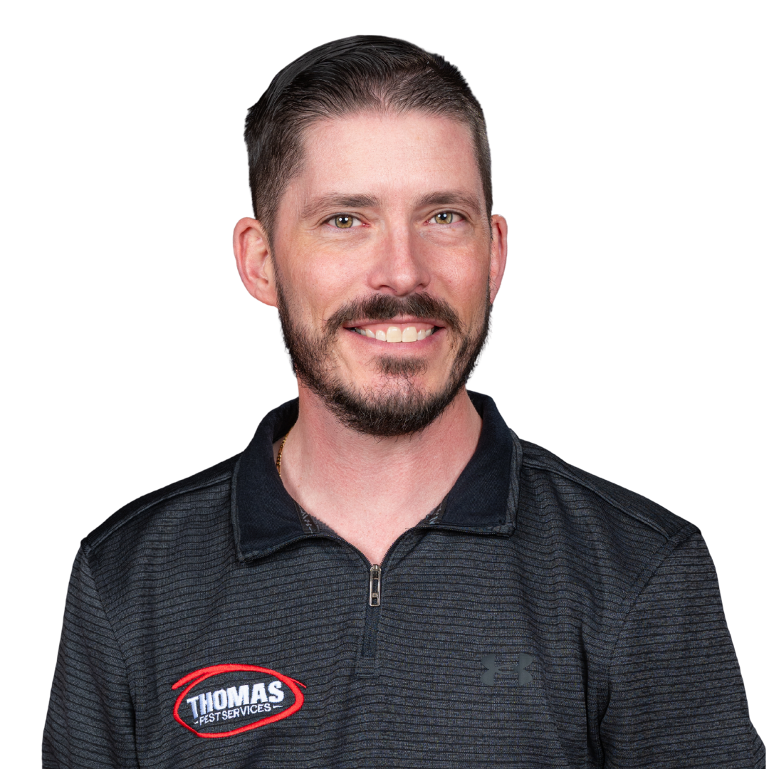 Your paragraph text (85)