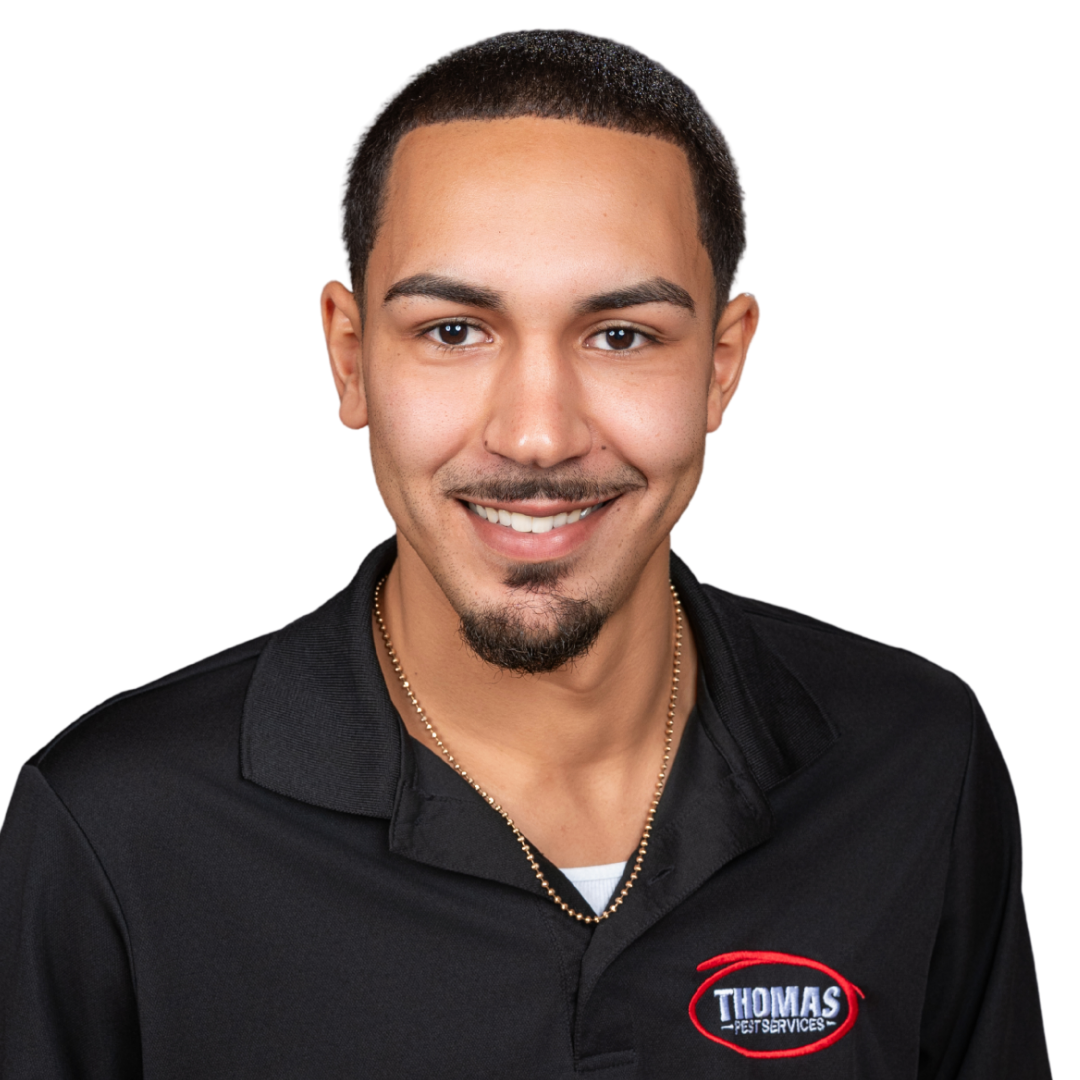 Your paragraph text (91)