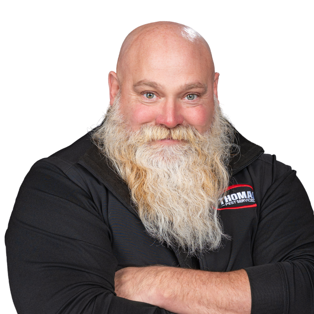 Your paragraph text (93)