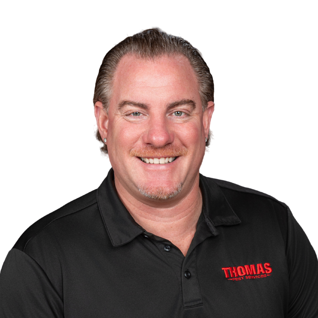 Your paragraph text (99)