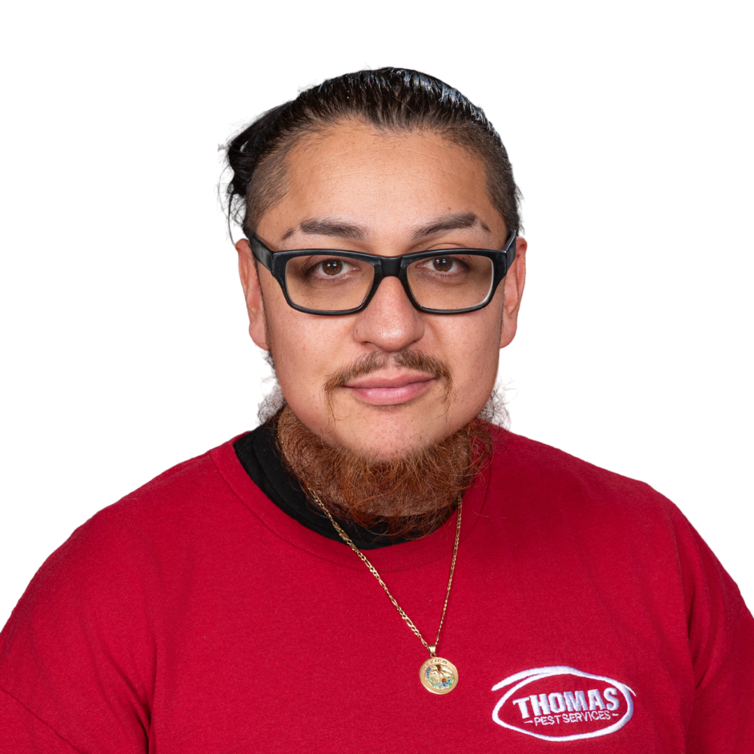 Your paragraph text - 2025-12-23T151910.744