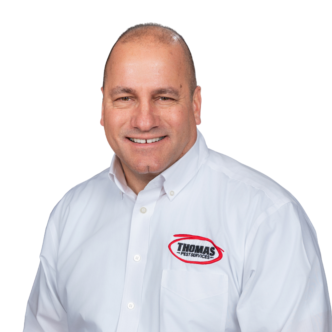 Your paragraph text - 2026-01-02T124215.389