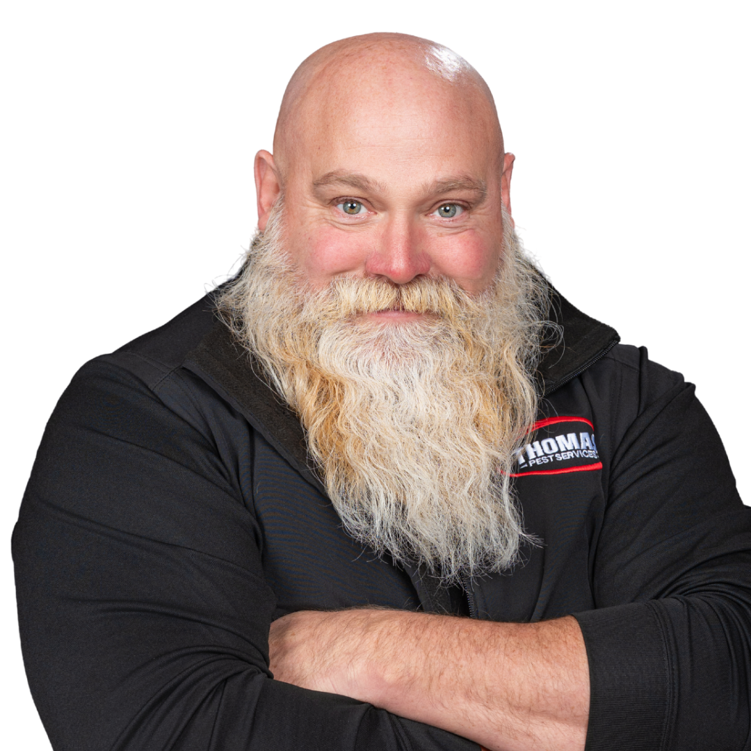 Your paragraph text - 2026-01-02T163444.059