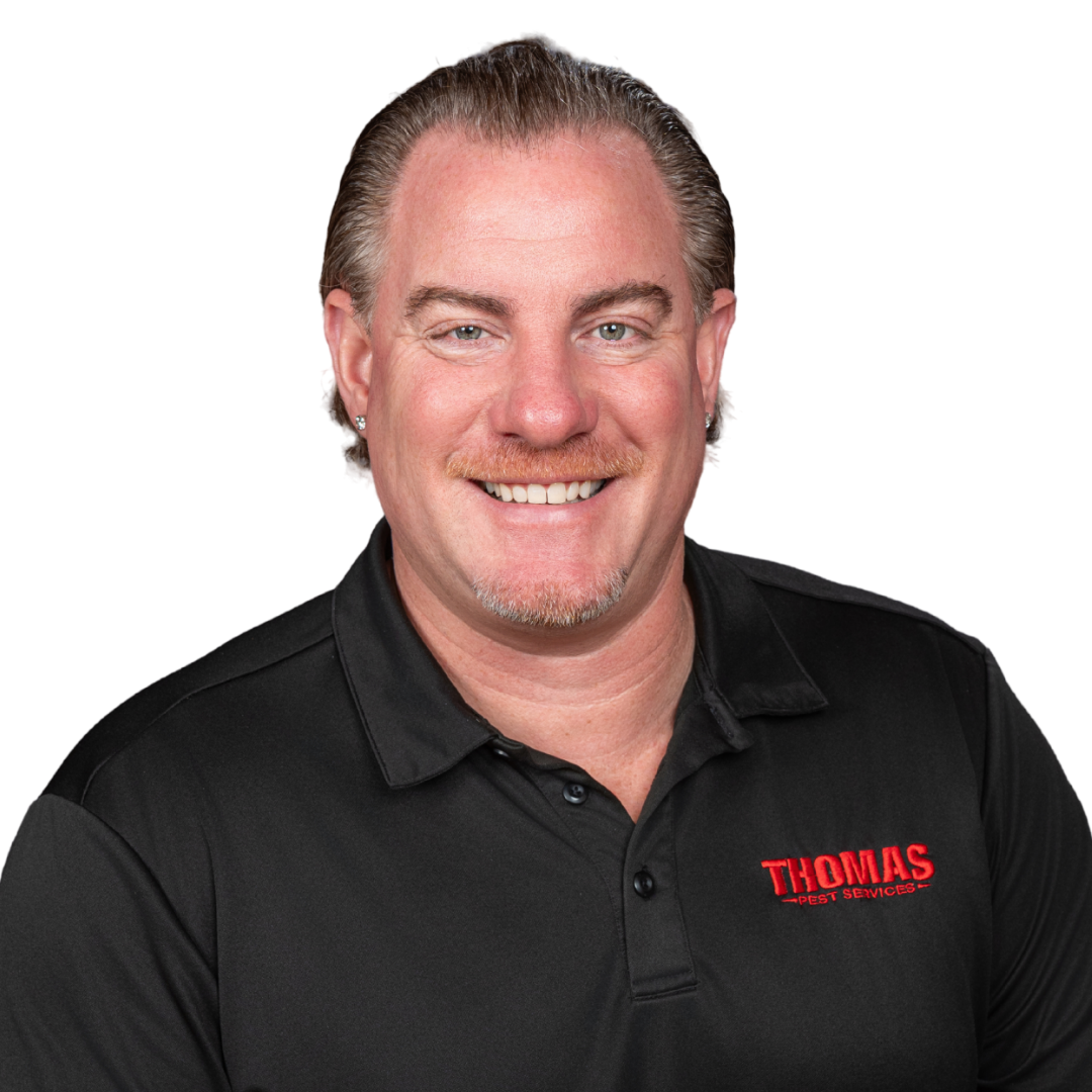 Your paragraph text - 2026-01-02T163707.792