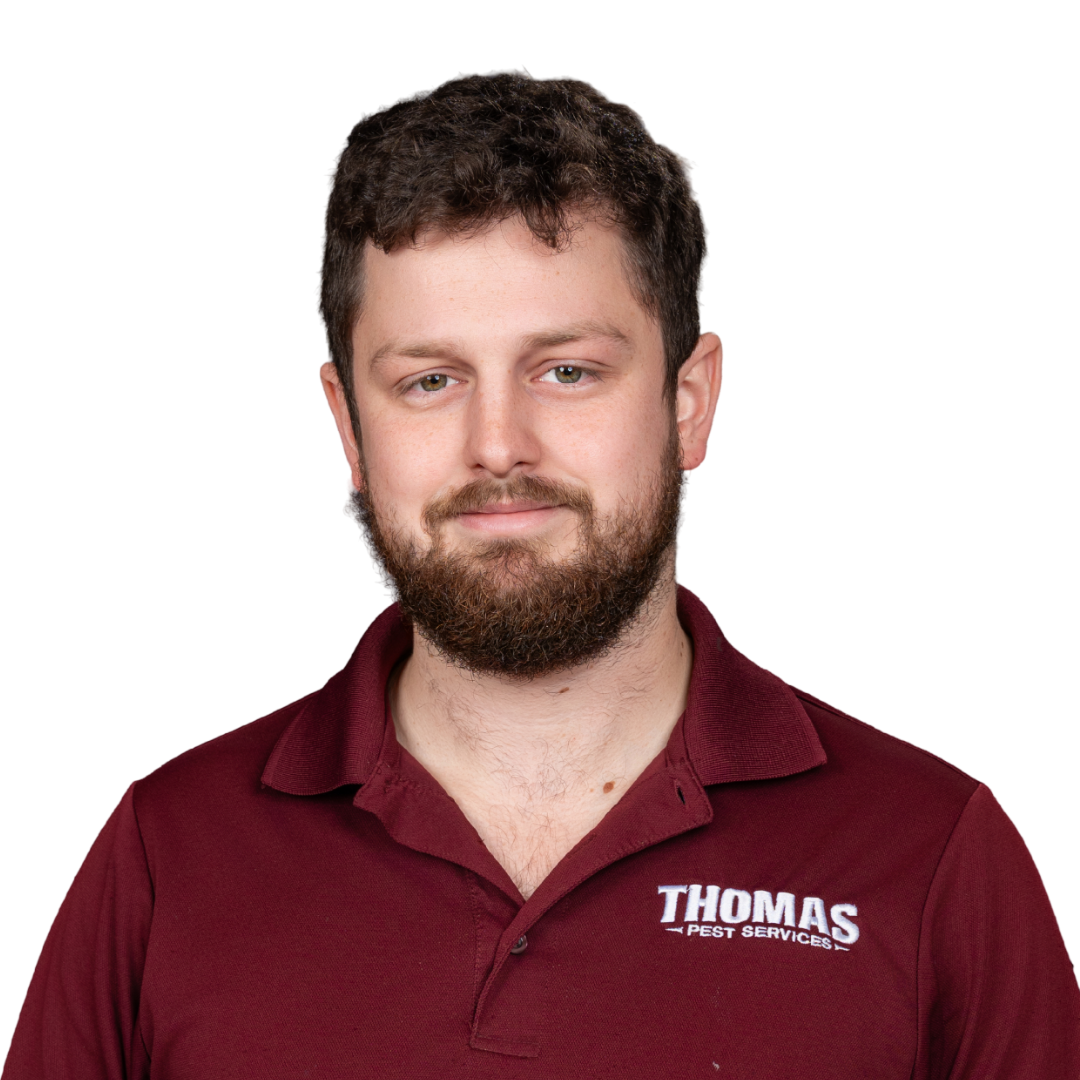 Your paragraph text - 2026-01-02T173012.501