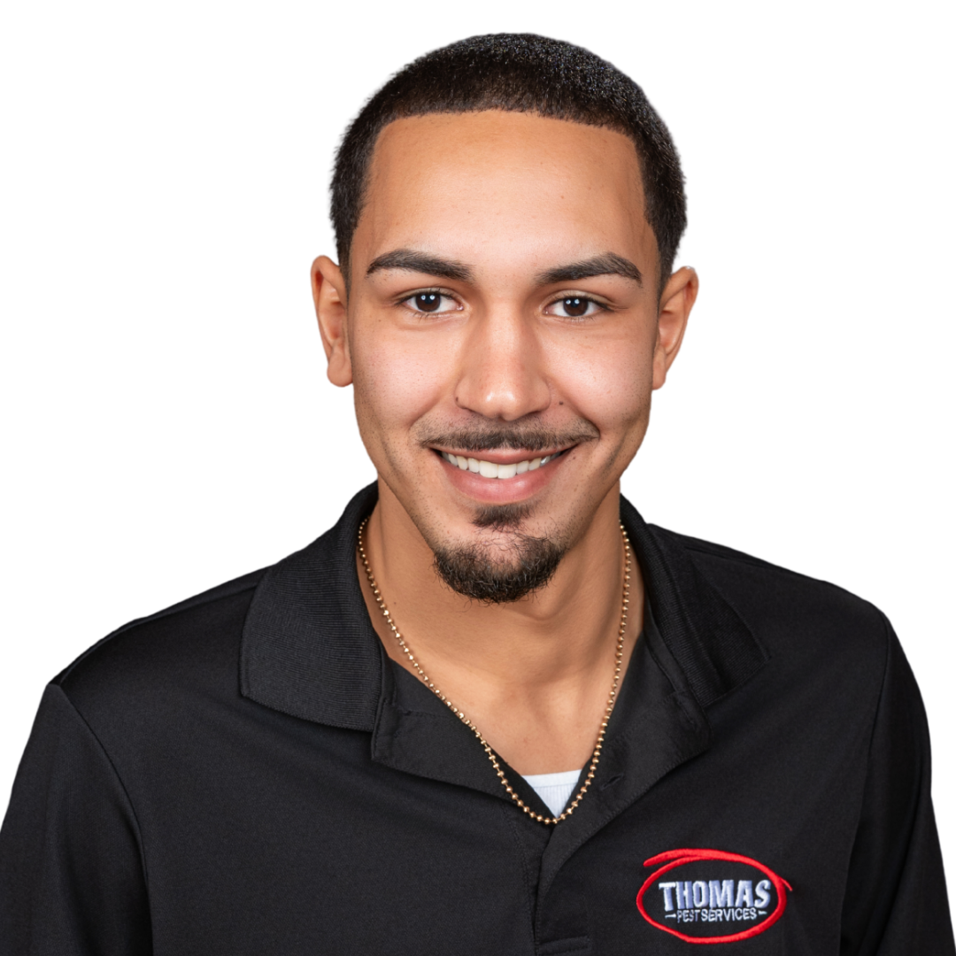 Your paragraph text - 2026-01-02T173104.782