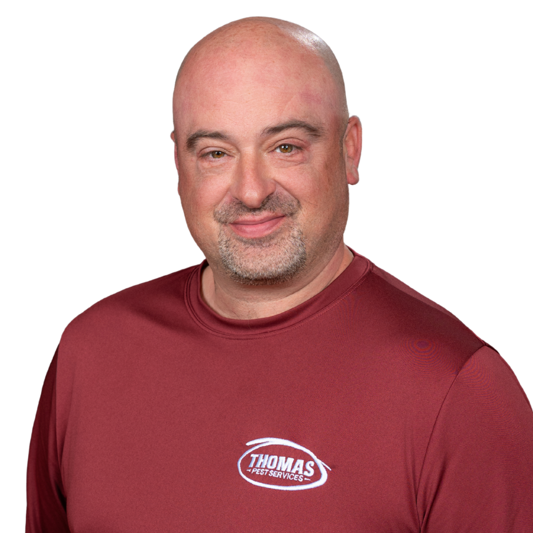 Your paragraph text - 2026-01-02T173201.825