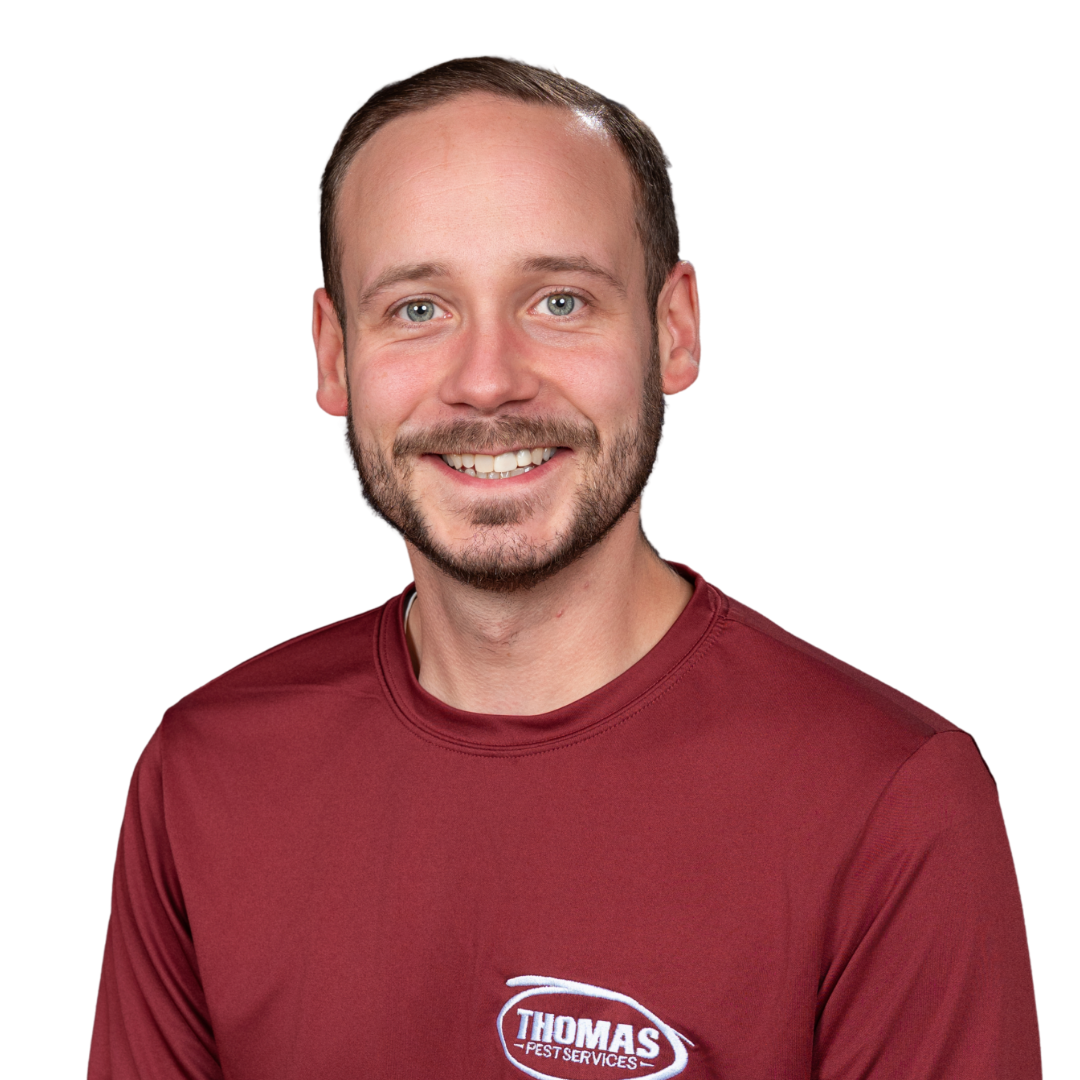 Your paragraph text - 2026-01-02T173341.701