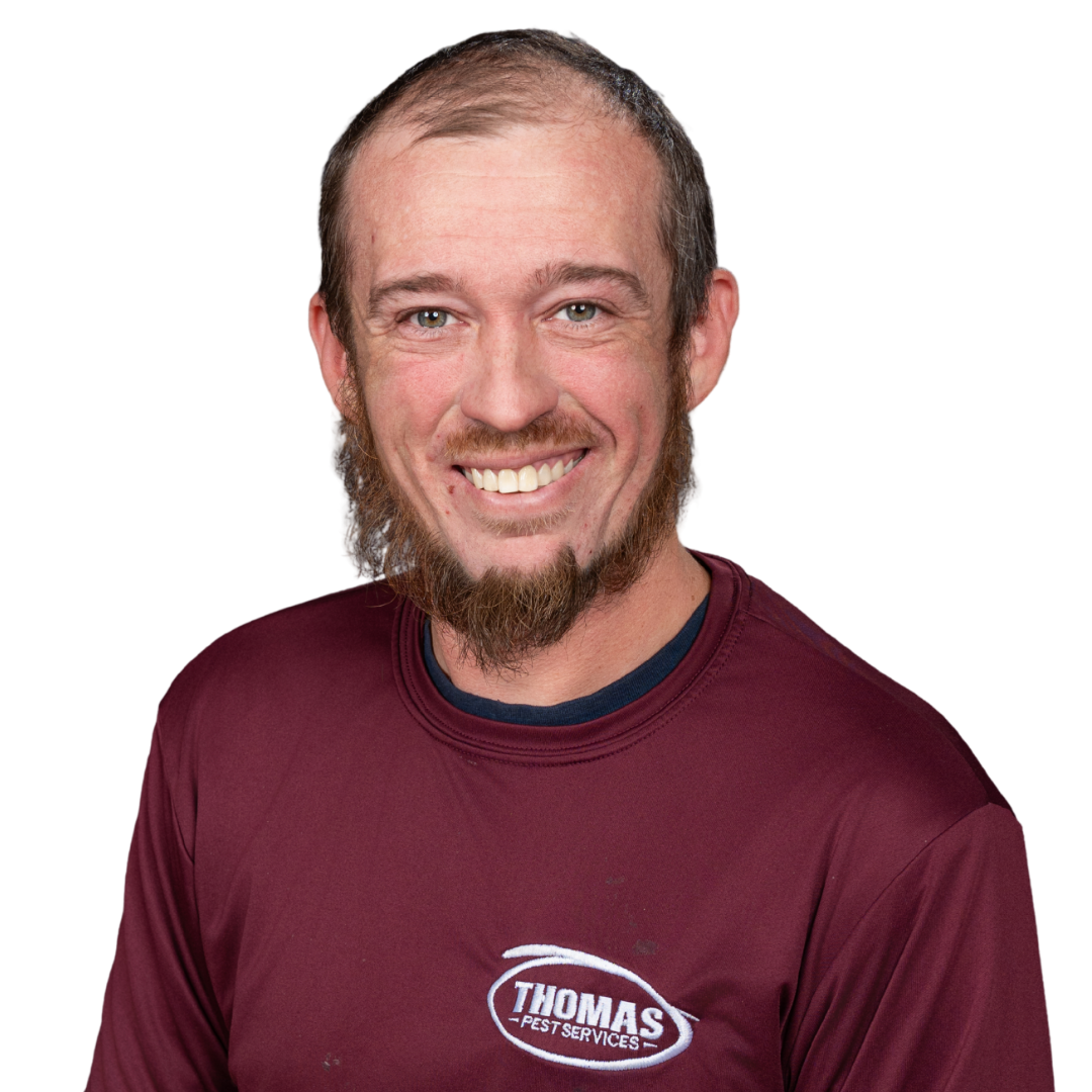 Your paragraph text - 2026-01-02T173744.376