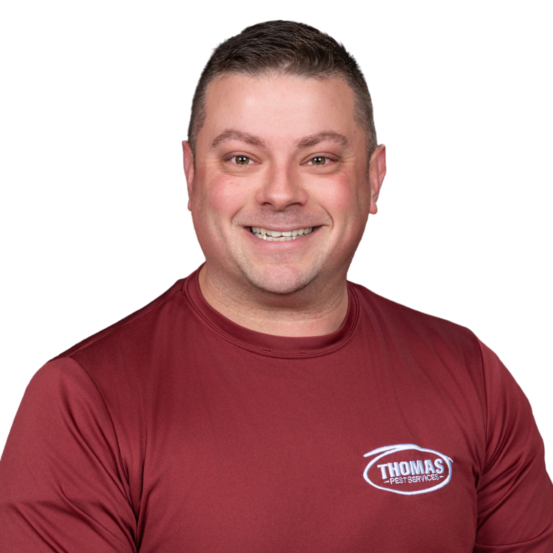 Your paragraph text - 2026-01-02T174342.745