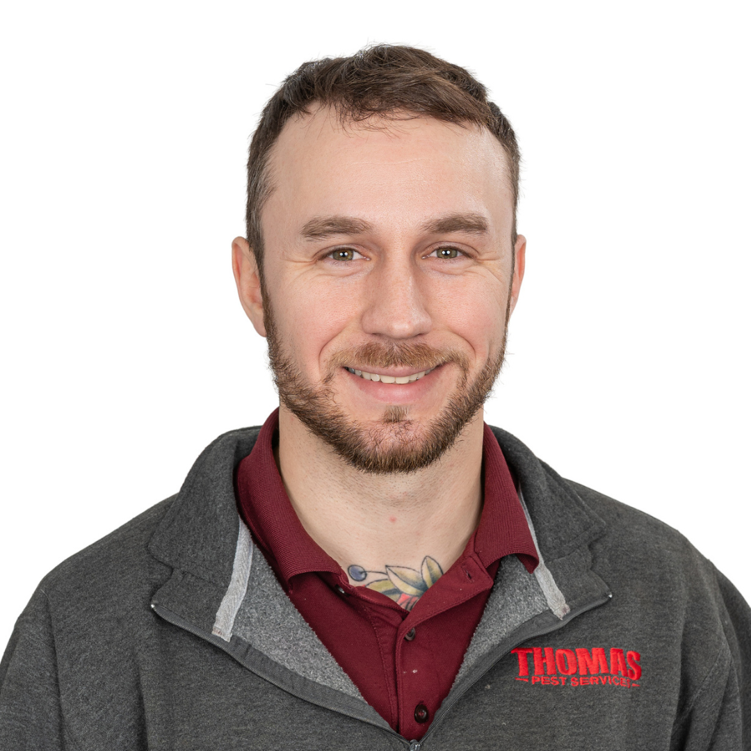 Your paragraph text - 2026-02-03T150227.326