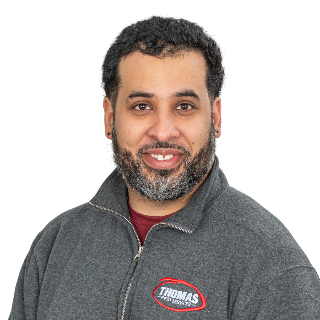 Your paragraph text - 2026-02-03T150824.389