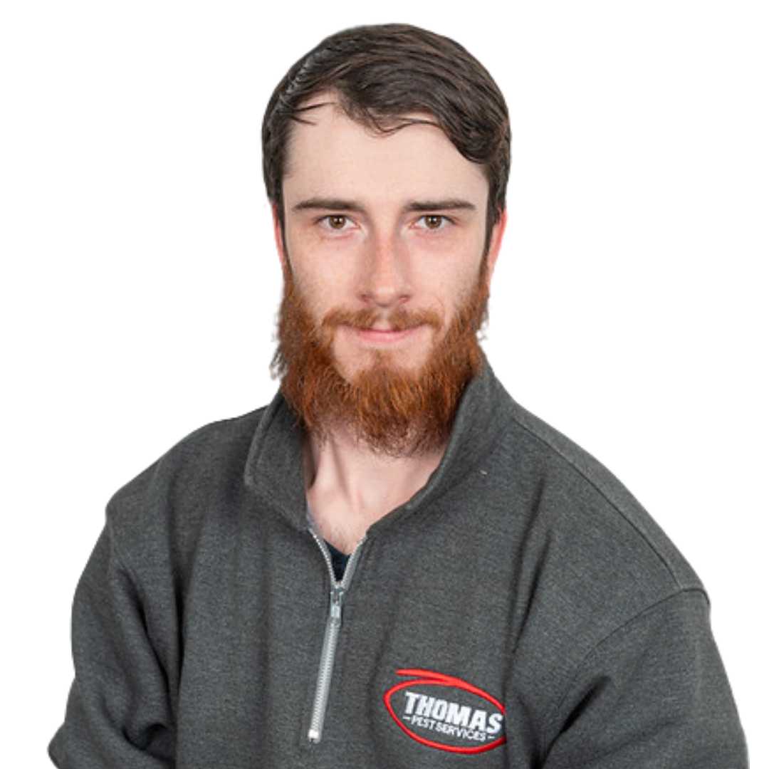 Your paragraph text - 2026-03-11T174132.650