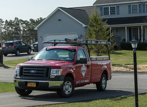 coeyman-ny-full-service-pest-control coeyman-ny-full-service-pest-control