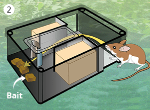 mouse-enters-tick-box-3