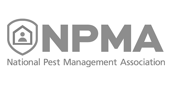 npma-3