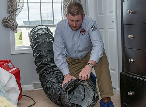 ny-bed-bug-heat-treatments ny-bed-bug-heat-treatments