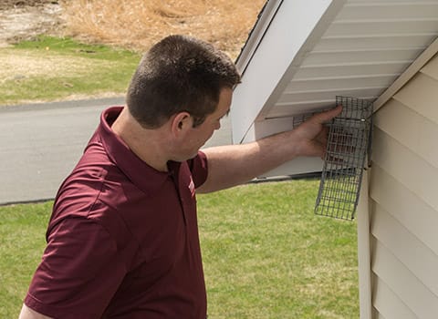 ny-wildlife-exclusion (1)