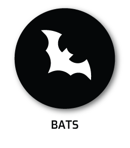 BATS