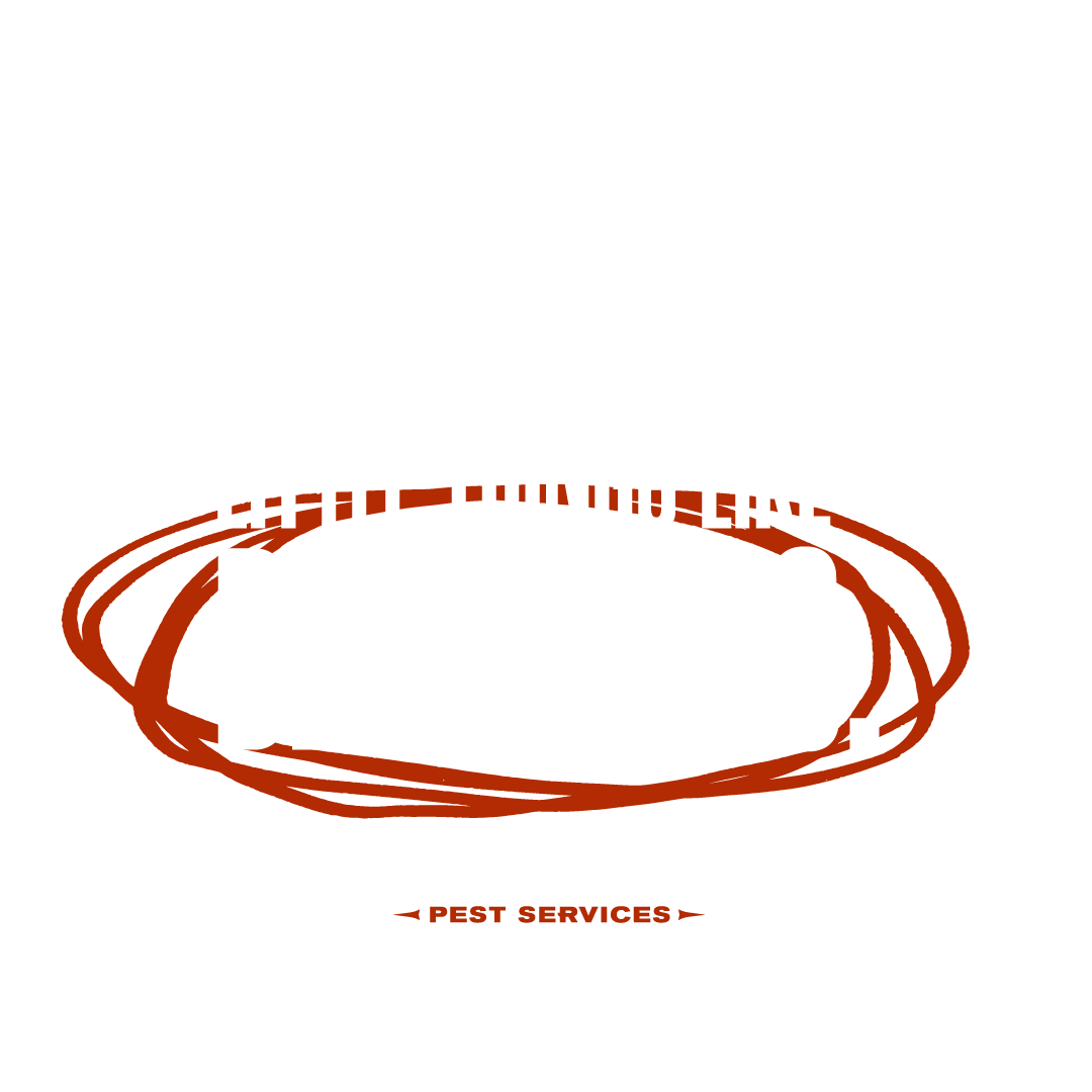 We Treat Little Things Like Big Things