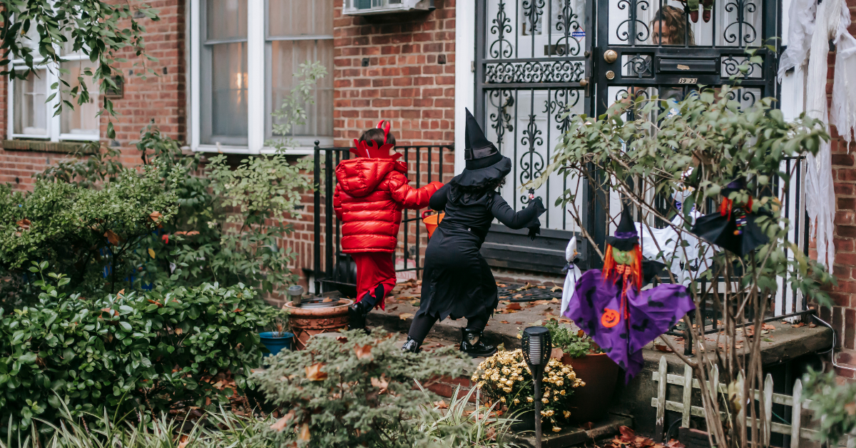 Spooky but True: The Creepiest Pests That Might Be Lurking in Your Home