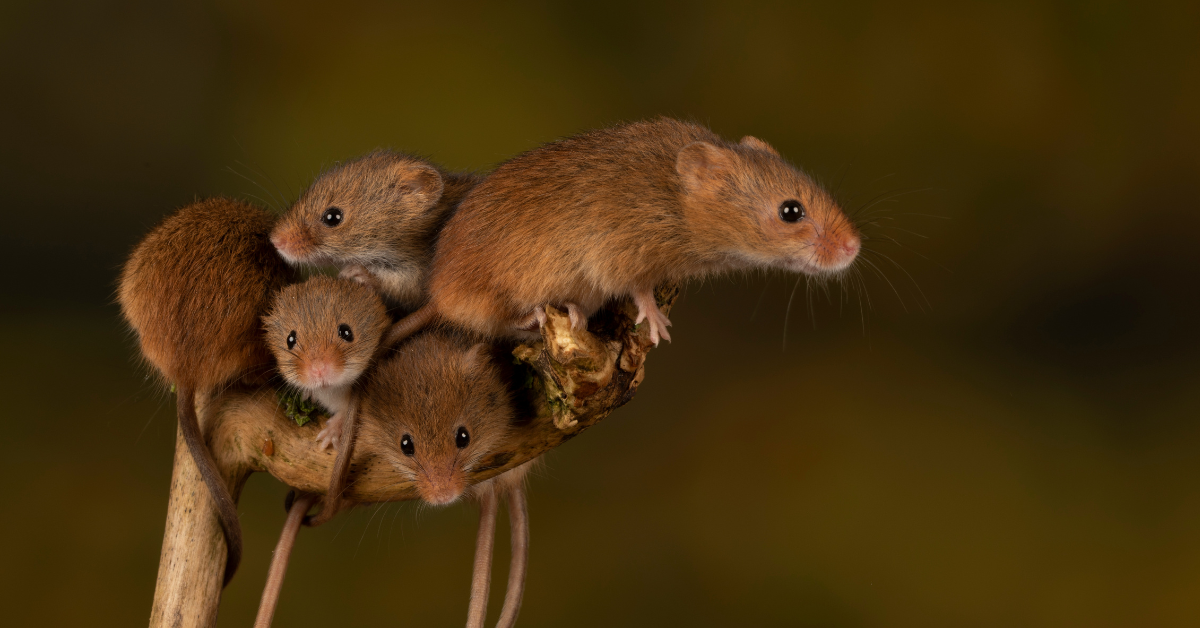 Blog Post Featured Images - 2025-09-15T192848.661 Blog Post Featured Images - 2025-09-15T192848.661