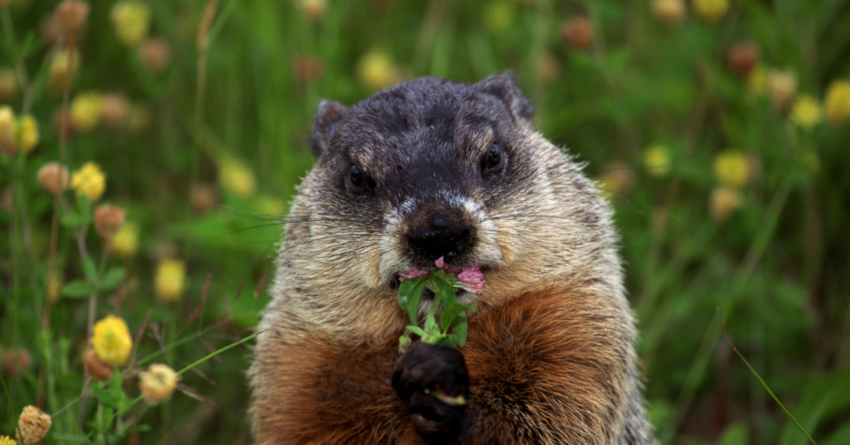 Blog Post Featured Images - 2025-09-15T210957.475 Blog Post Featured Images - 2025-09-15T210957.475