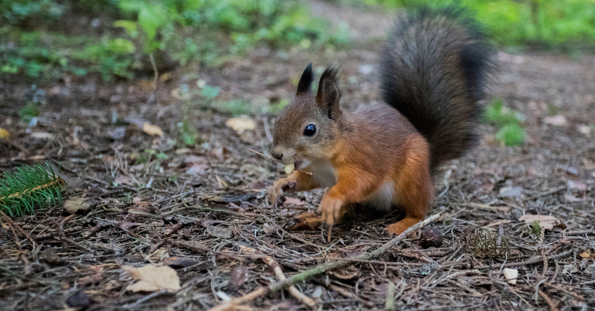 Blog Post Featured Images - 2025-09-23T142824.181 Blog Post Featured Images - 2025-09-23T142824.181