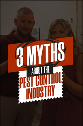 Debunking Pest Control Myths - Edition 2: Unmasking the Truth Behind 3 Common Pest Control Misbeliefs