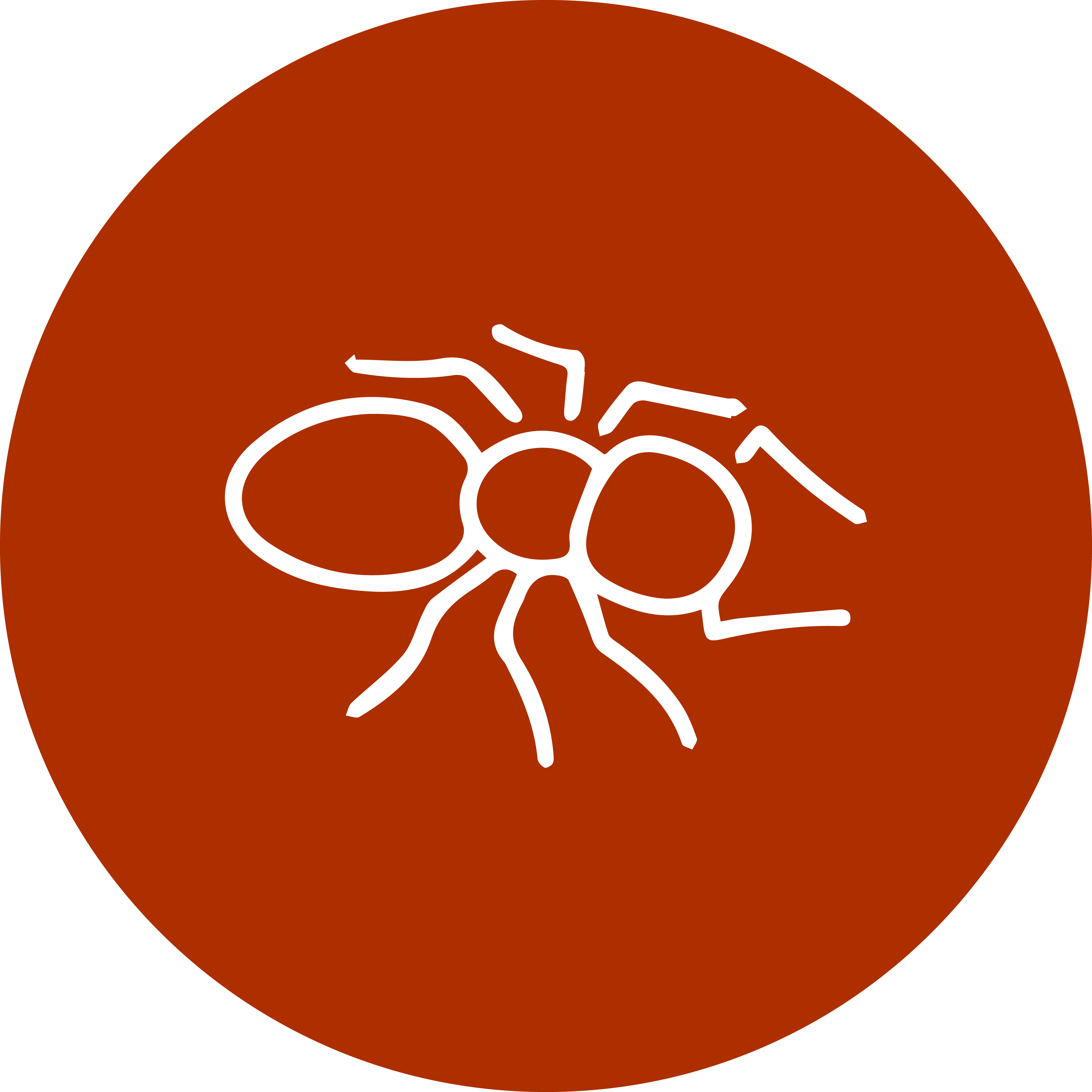 PestIcon-CarpenterAnt