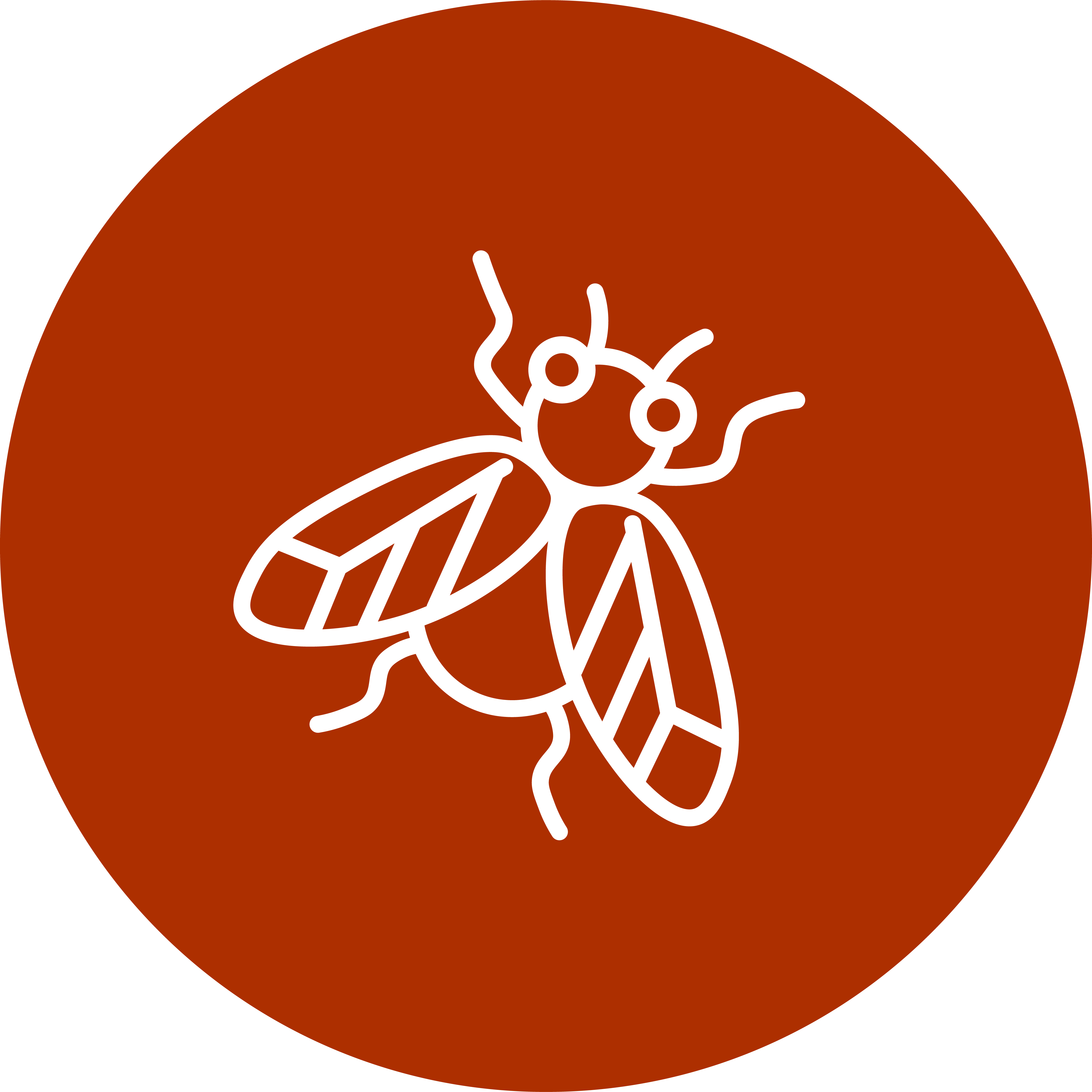 PestIcon-ClusterFlies_Bugs
