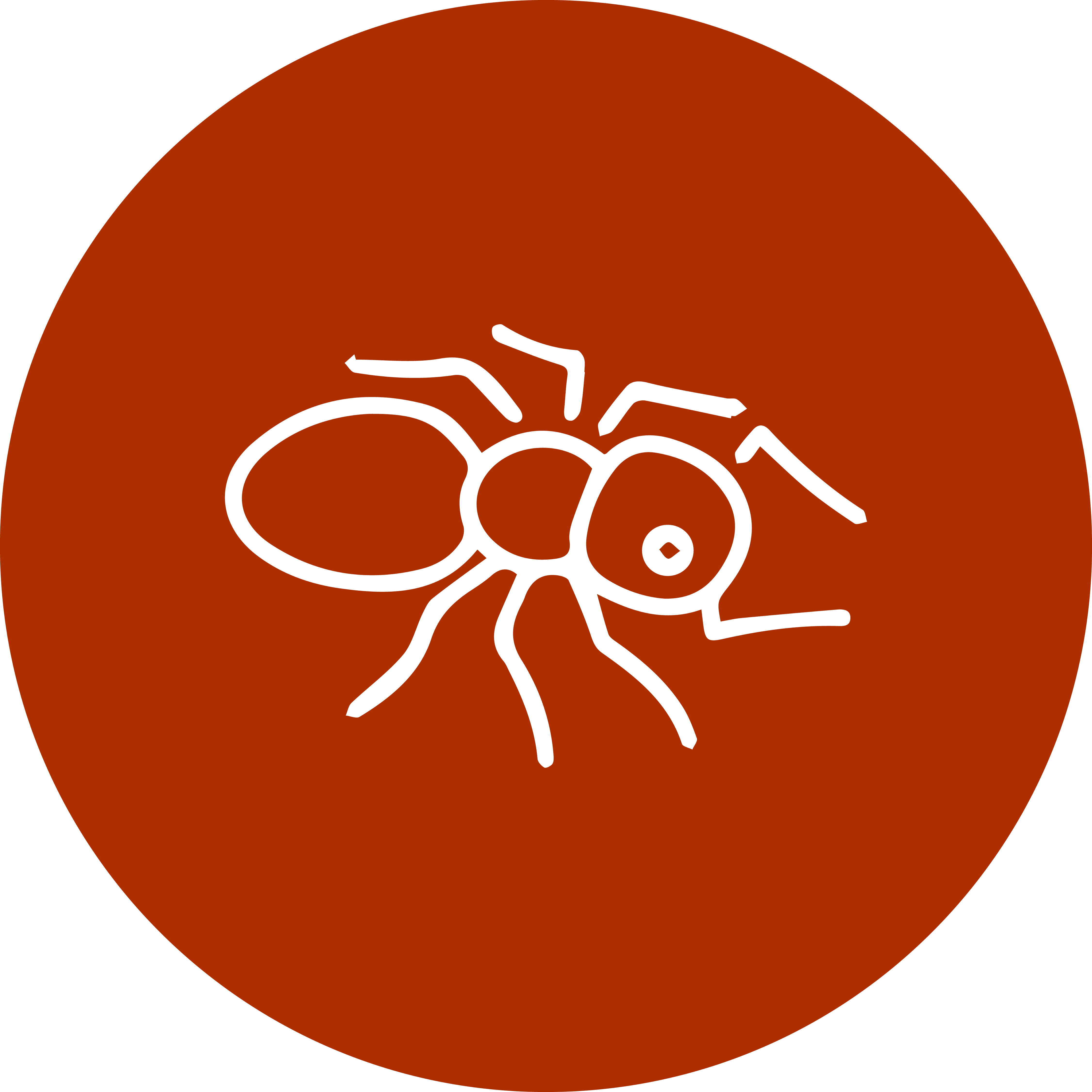 PestIcon-HouseholdAnts