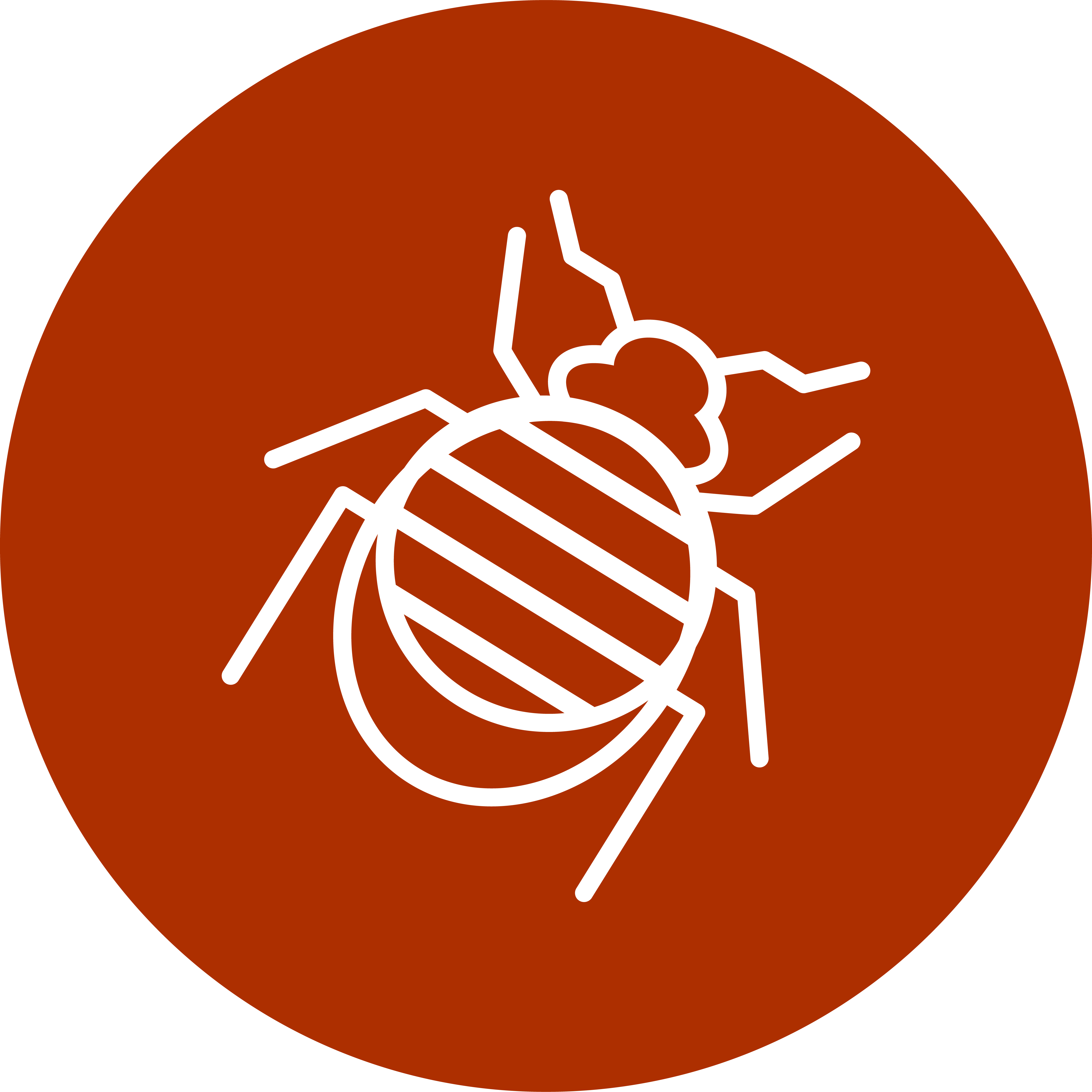 PestIcon-StoredProductPests