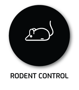 RODENTCONTROL