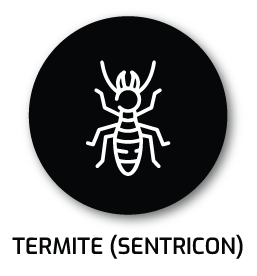 TERMITE-NEW