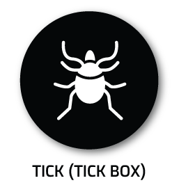 TICK