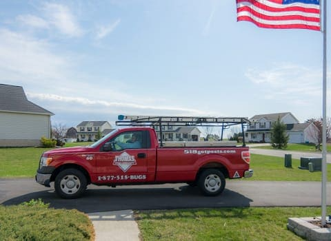 albany-full-service-pest-managme-1 albany-full-service-pest-managme-1