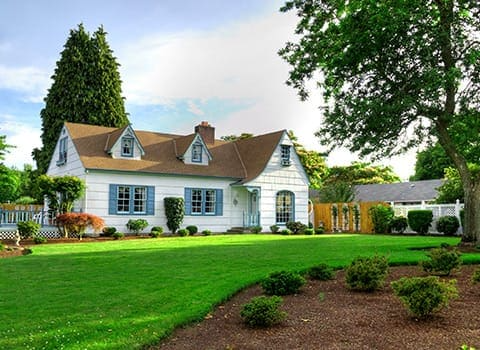 albany-home-pest-control albany-home-pest-control