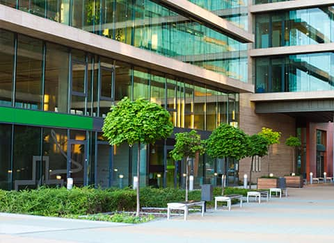 coeyman-ny-commercial-pest-contr coeyman-ny-commercial-pest-contr